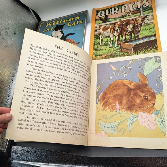 1943 Animal Story Book Collection Lot Of 4 Children's Publication Saalfield Co. - Picture 8 of 11